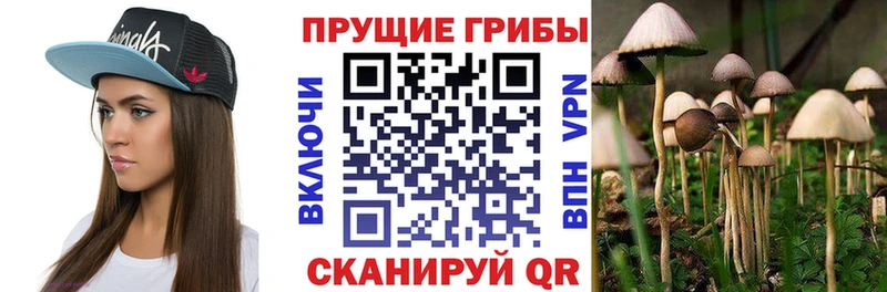 Галлюциногенные грибы Magic Shrooms Бокситогорск