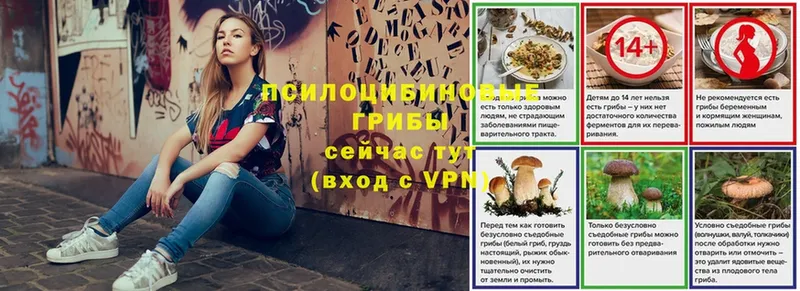 Галлюциногенные грибы Magic Shrooms  Бокситогорск 