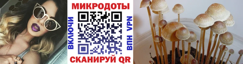 Галлюциногенные грибы ЛСД  Бокситогорск 